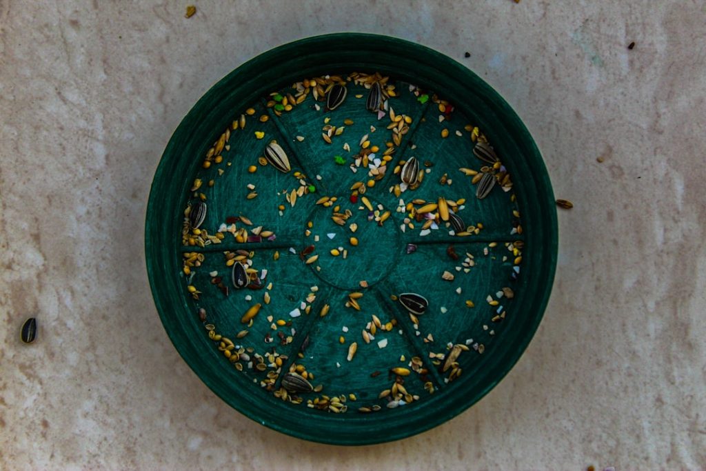 makrout pastries on a decorative plate