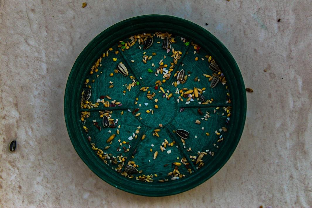 Gâteau aux amandes oriental sur une assiette traditionnelle